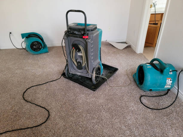 Best Fire Damage Restoration  in Reese, MI