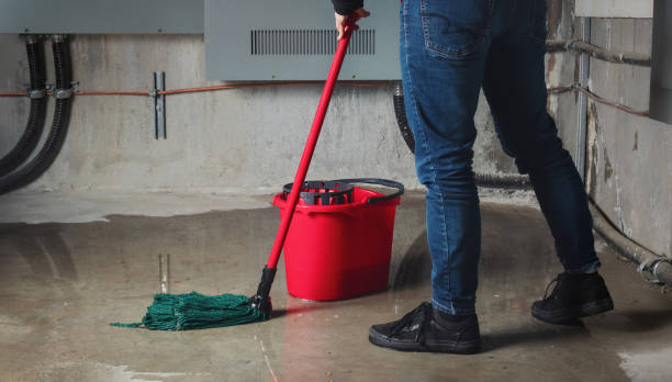 Best Water damage contractors near me  in Reese, MI