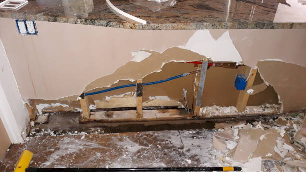 Best Carpet water damage restoration  in Reese, MI