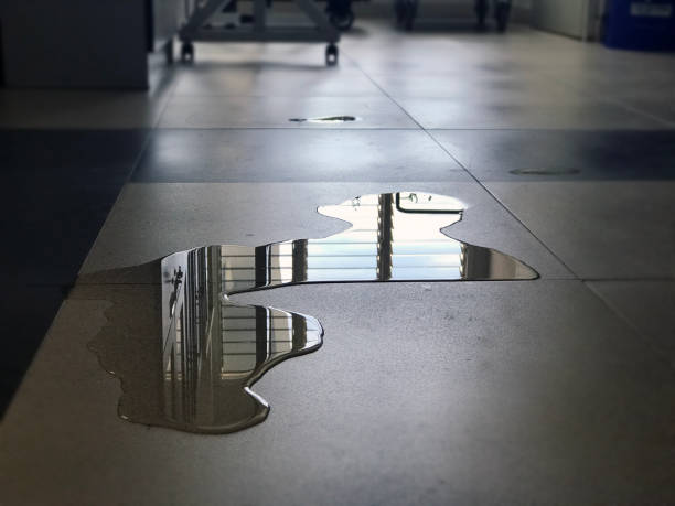 Best Commercial water damage restoration  in Reese, MI
