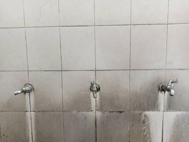 Best Flood restoration services  in Reese, MI